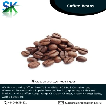Origin high 100% Best quality palm Coffee Seeds