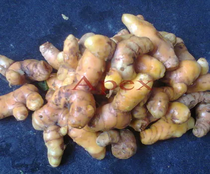 Turmeric Curcumin 95%  Capsules TURMERIC EXTRACT CAPSULES