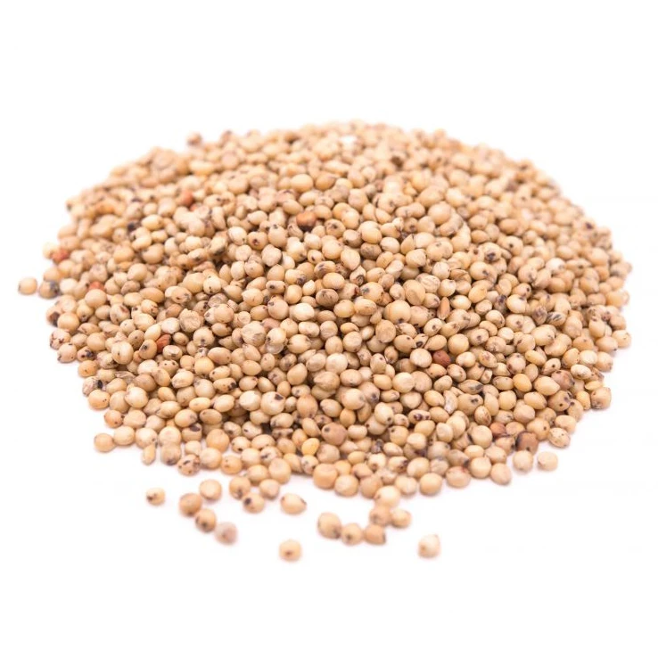 Healthy Red White Sorghum