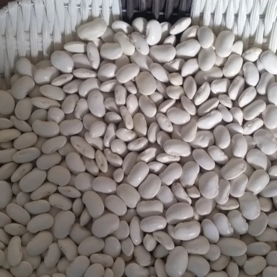 
Fresh Dried Frozen Lima Beans,White Lima Bean 