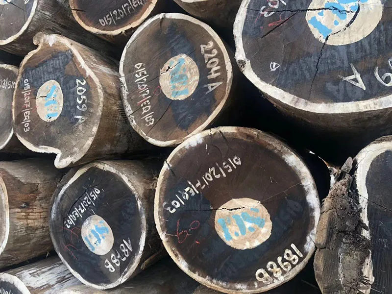 Cheap Timber Logs Teak Wood / Oak Wood Logs / Pine Wood Logs