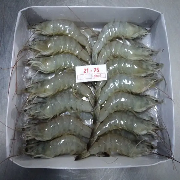 wholesale white shrimp/fresh water prawn/frozen vannamei shrimp feed