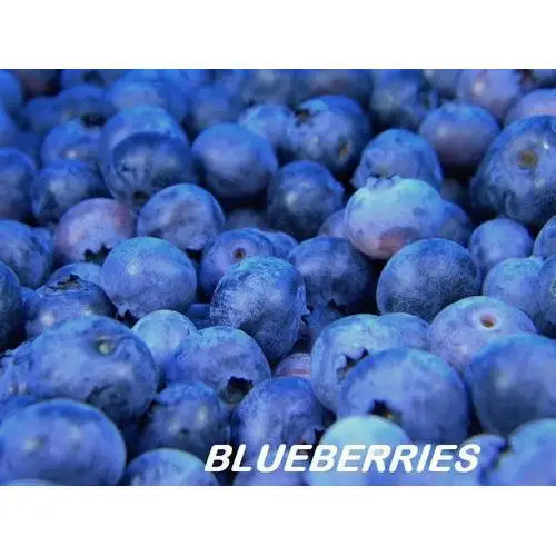 
Fresh Harvested Blueberry Wholesale 