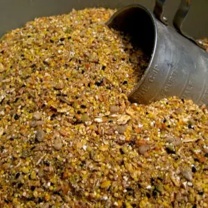 soybean meal for sale for cattle cow horse pig chicken palm kernel cake
