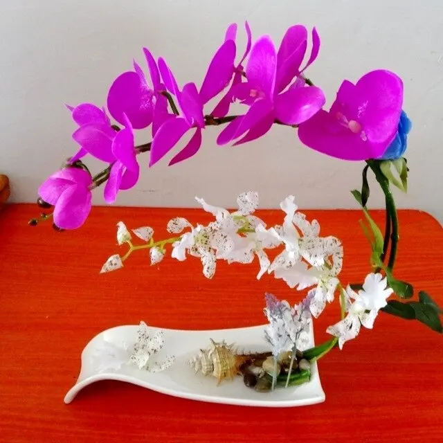 [BEST SELLER 2022] Fresh orchid flower with high quality and BEST PRICE FROM VIETNAM/ WHOLESALE 2022