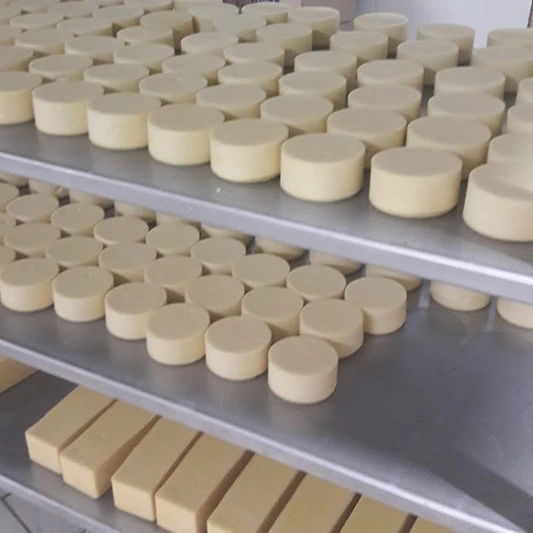 300lt small scale cheddar cheese line