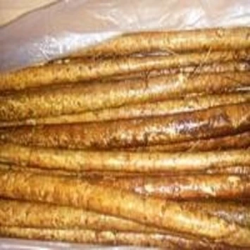 South Africa    Fresh Burdock ,Cheap wholesale Fresh Burdock
