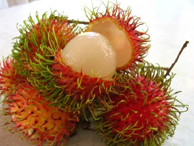 High quality competitive price fresh RAMBUTANT from Viet Nam