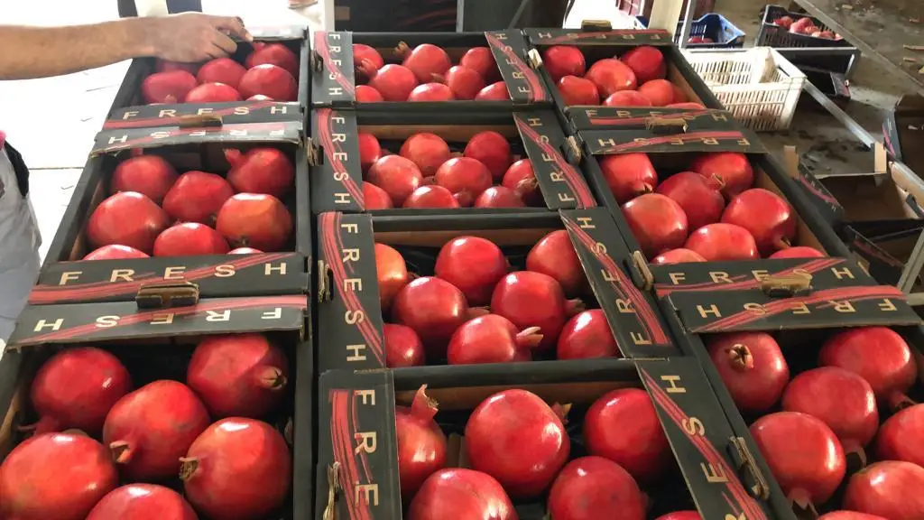Pomegranates/ Fresh