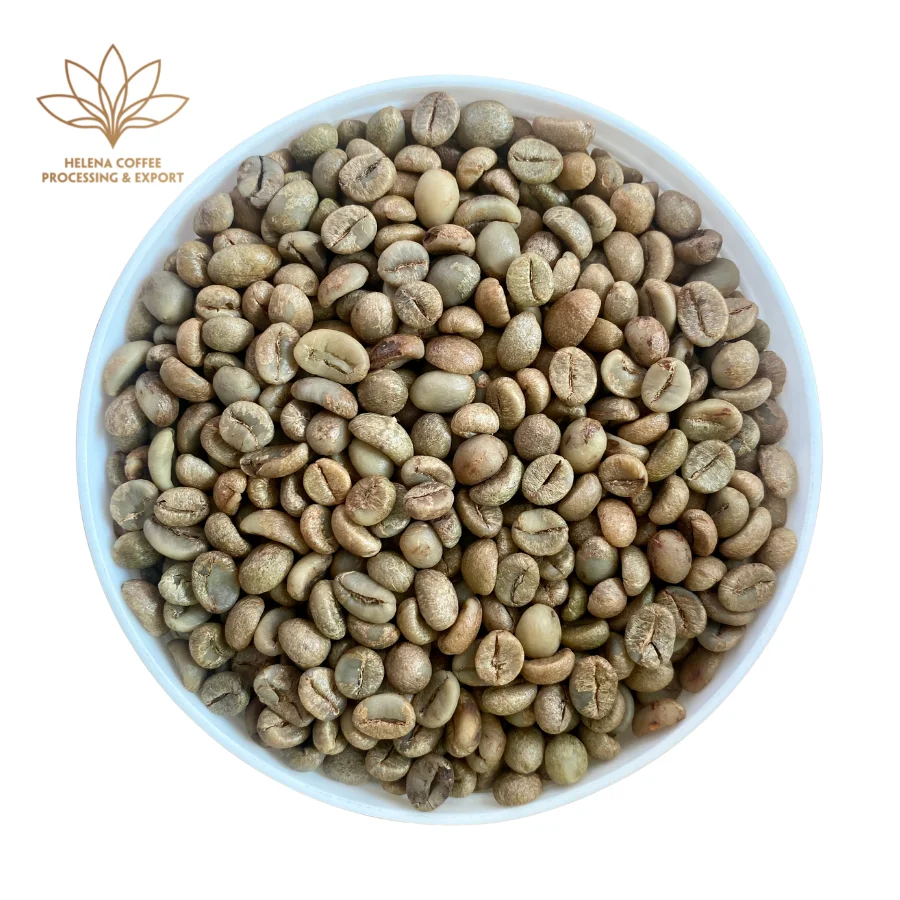 Best Price Robusta Coffee Green Beans Vietnam Coffee - Full washed SCR18 Grade 1 - Vietnam Robusta Coffee Beans