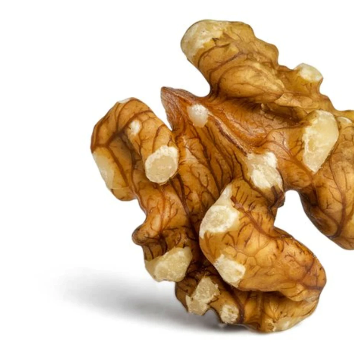 Высококачественный белок грецкого ореха