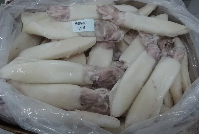 
SQUID WHOLE CLEANED SEMI NEEDLE 