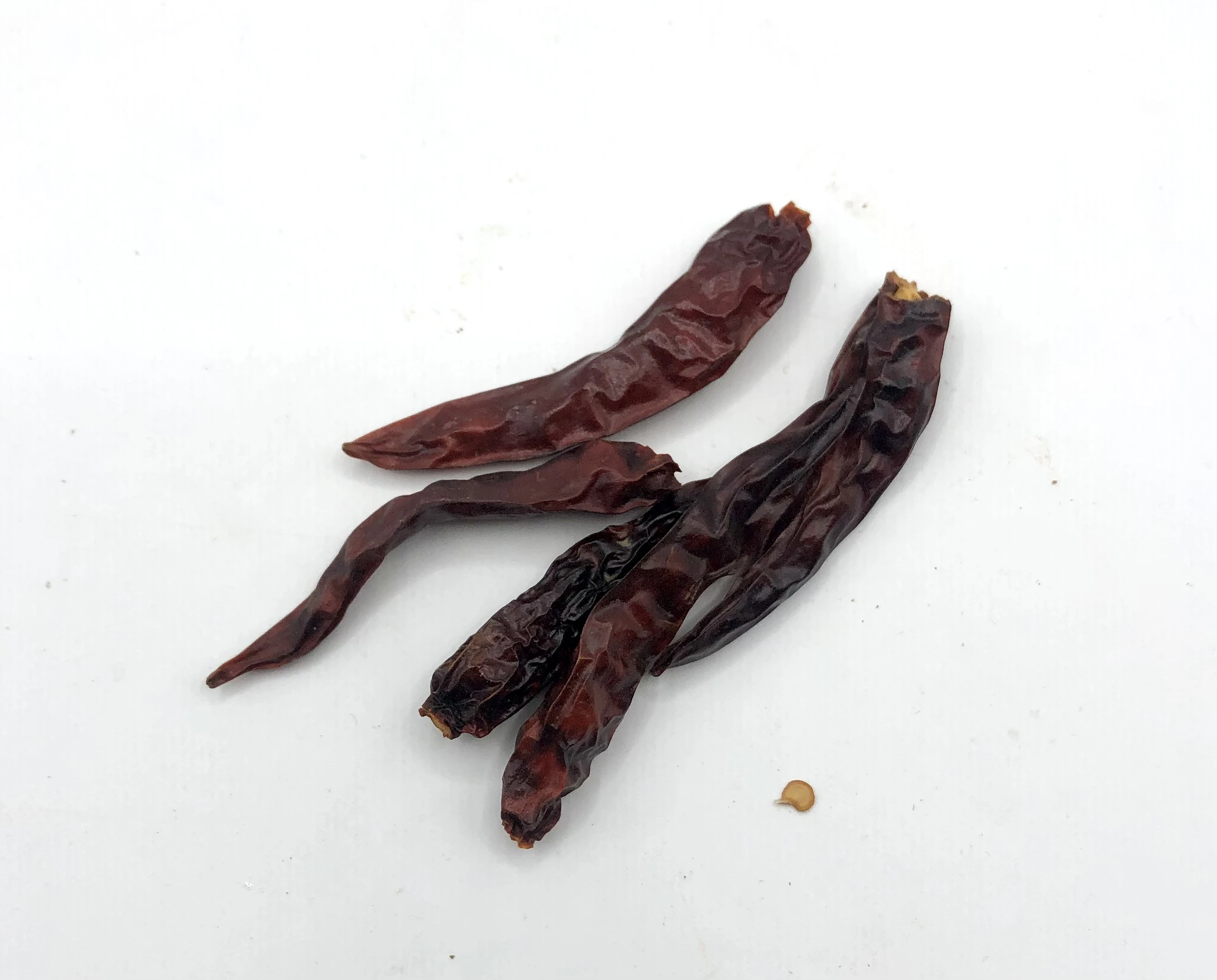 Dried Red Chili Dry, Single Spices Chilli Top Product of Thailand