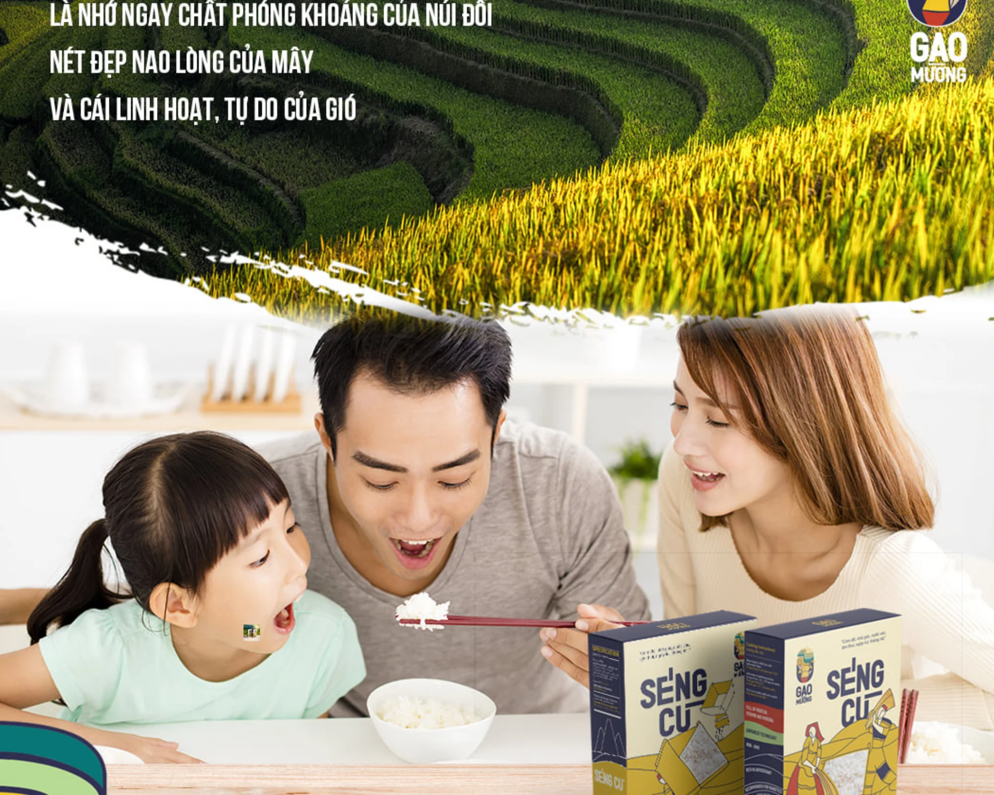 
Vietnamese specialty St25 rice, organic food good for health, best seller 