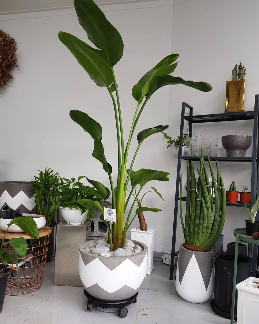 High Quality Small Indoor Ceramic Planter Pot Smooth Finished with LED Lamp New Top Garden Supplies Small Decorative Space
