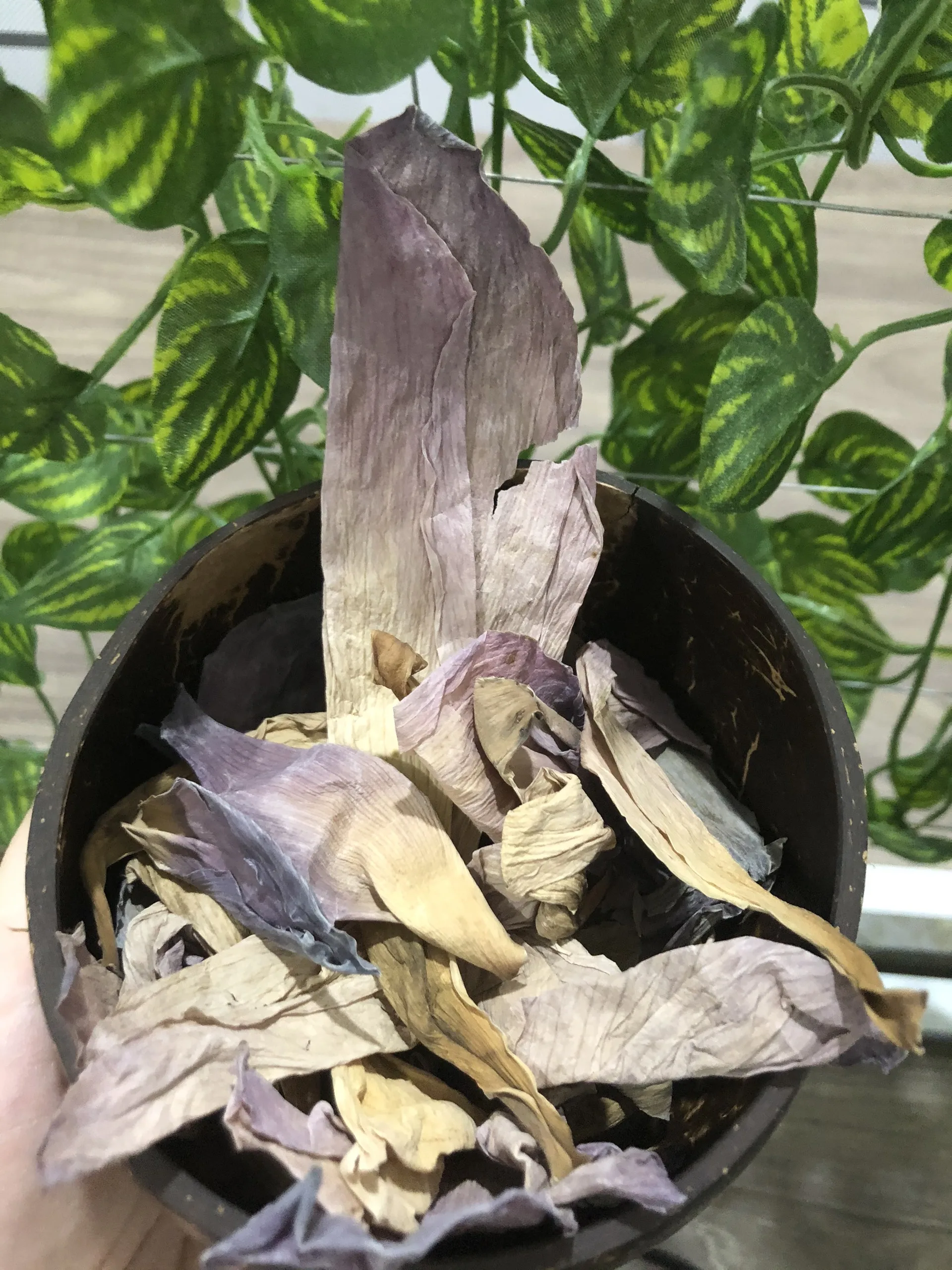 Здоровый продукт-сушеный чай с цветком лотоса травяной хорошим вкусом и красивым синим сушеный 100% натуральный 99 золотых