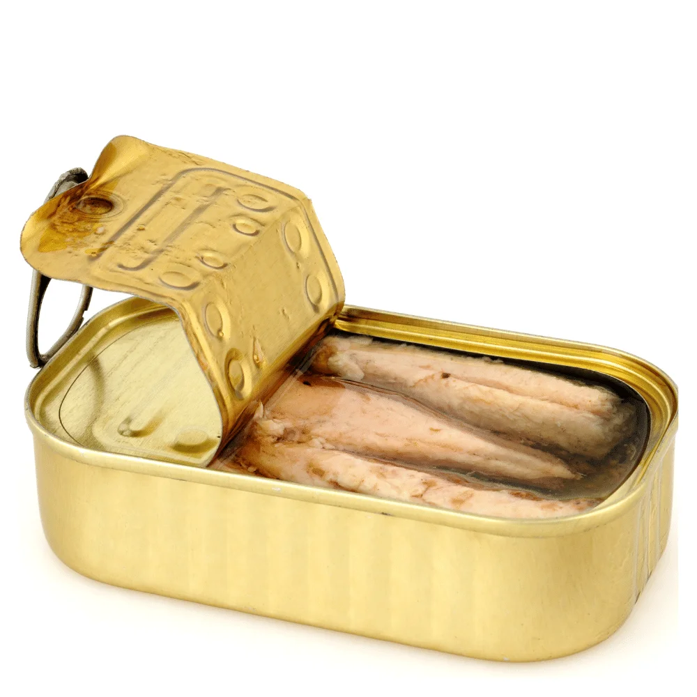 Canned Sardine - Canned Tuna - Processed Sardine and Tuna rich in nutrition Fish Body