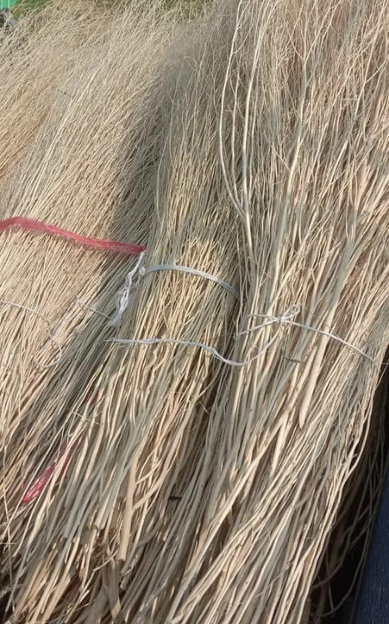 New Dye branch Design From Thailand