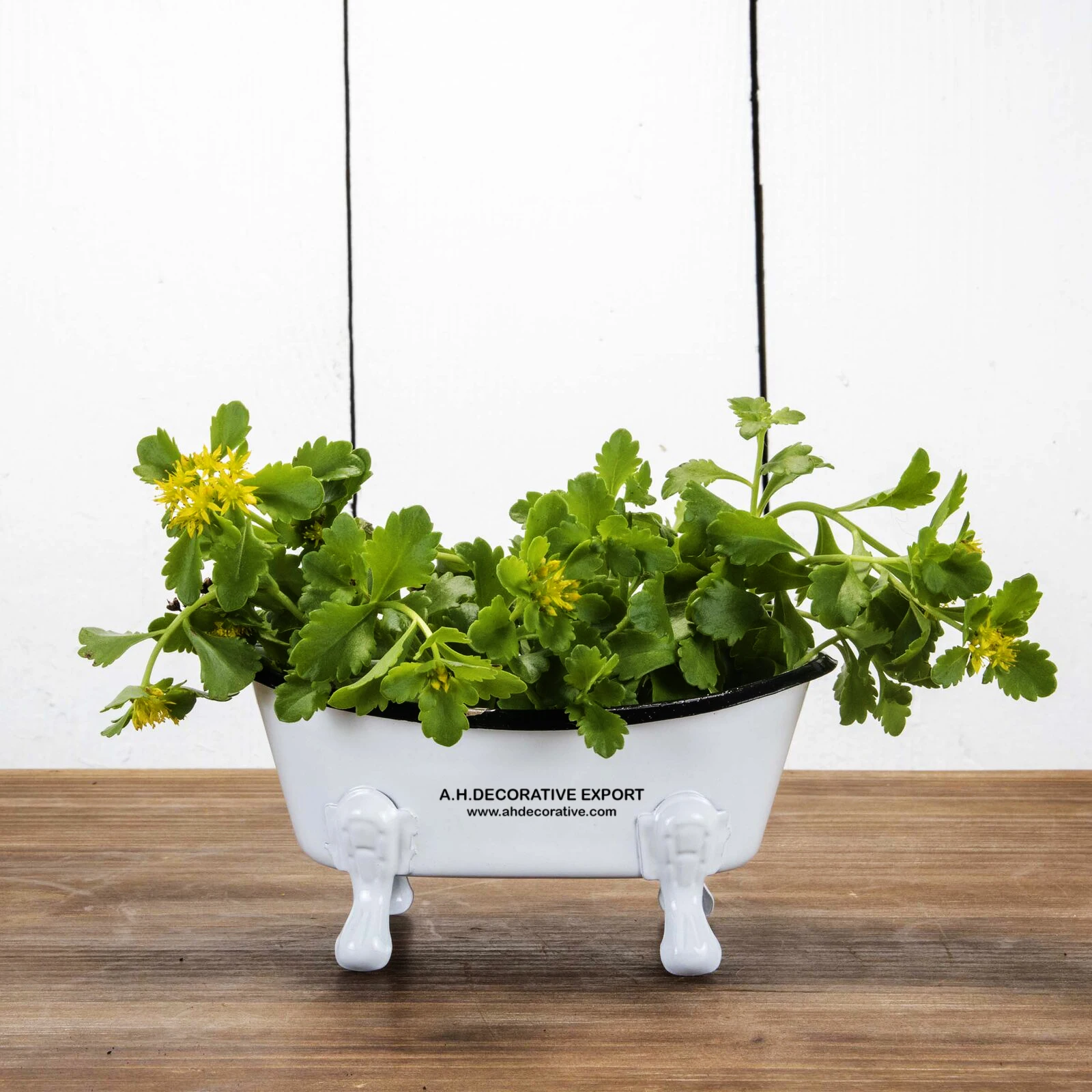 Luxury High Quality Metal Decorating White Shiny Colored With Bath Tub Shape Soap Dish Bowl for Sale