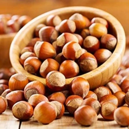 New Harvest 13-15 MM Chubby Organic & Natural Unshelled Raw 130gr. Hazelnut All Sizes are Available.