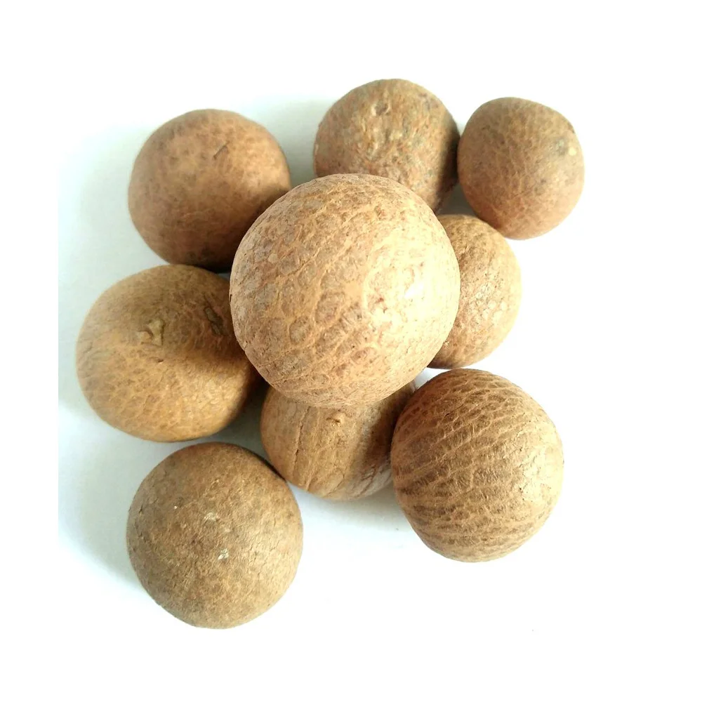 Hot Sale New Crop 2022 Betel Nuts, Dried Betel Nut, Betel Nuts Ready To Export