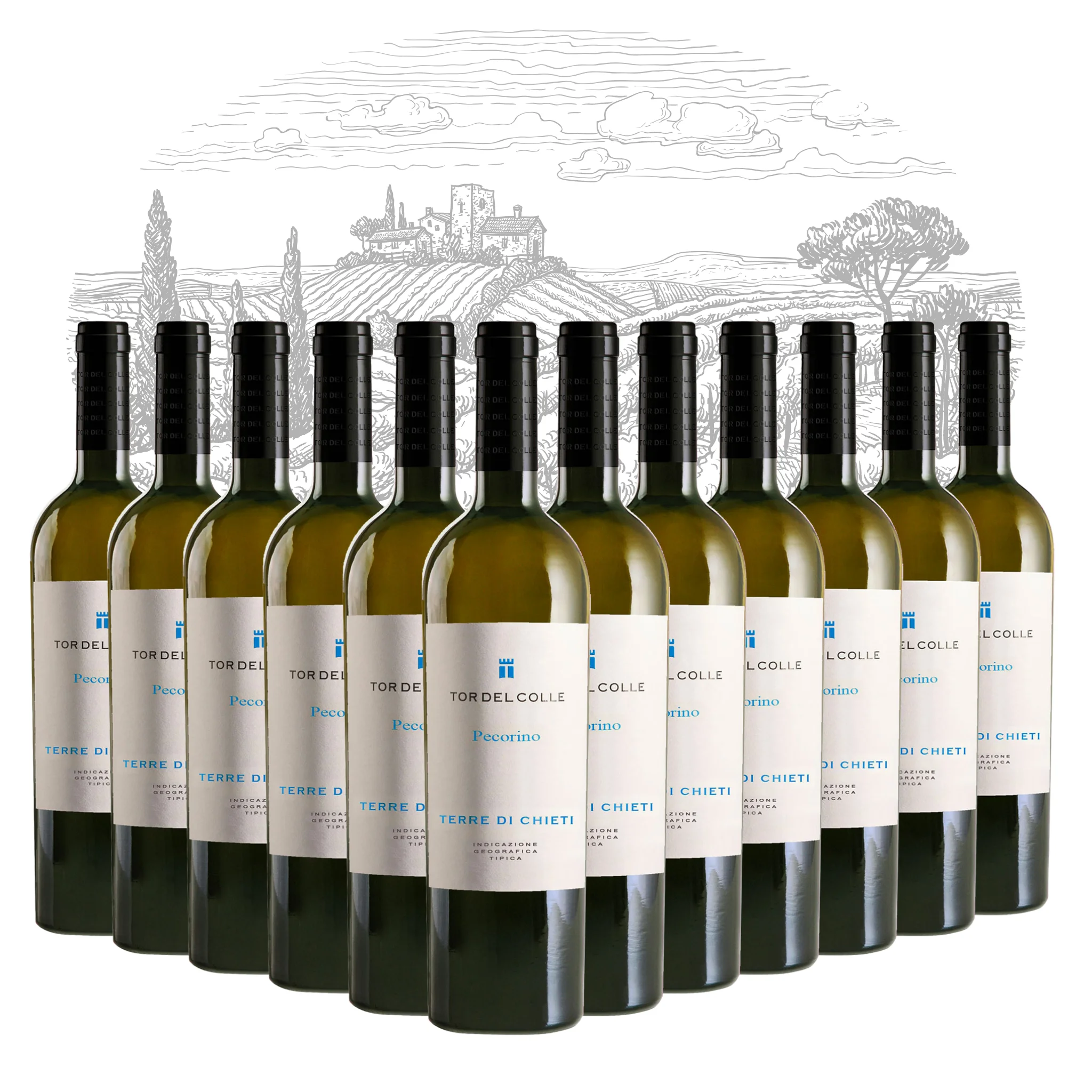 Белое вино премиум-класса Сделано в Италии-Pecorino Pour di Chieti IGT-белые настольные винные бутылки 750 мл алкоголь 13% для