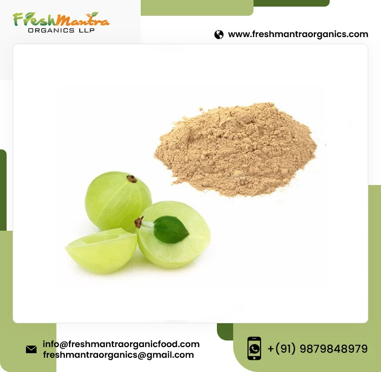 Pure Indian Goosebeery Powdered Form from Medicinal Herbal Plant boosts Immunity and Metabolism Wholesale Supply