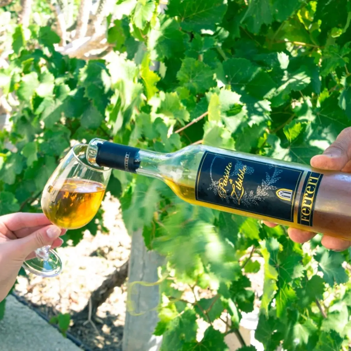 Top Sweet FERRERI Wine for Table Restaurants Wine shops Grapes of Zibibbo 750 ml Aged 4 months in french oack