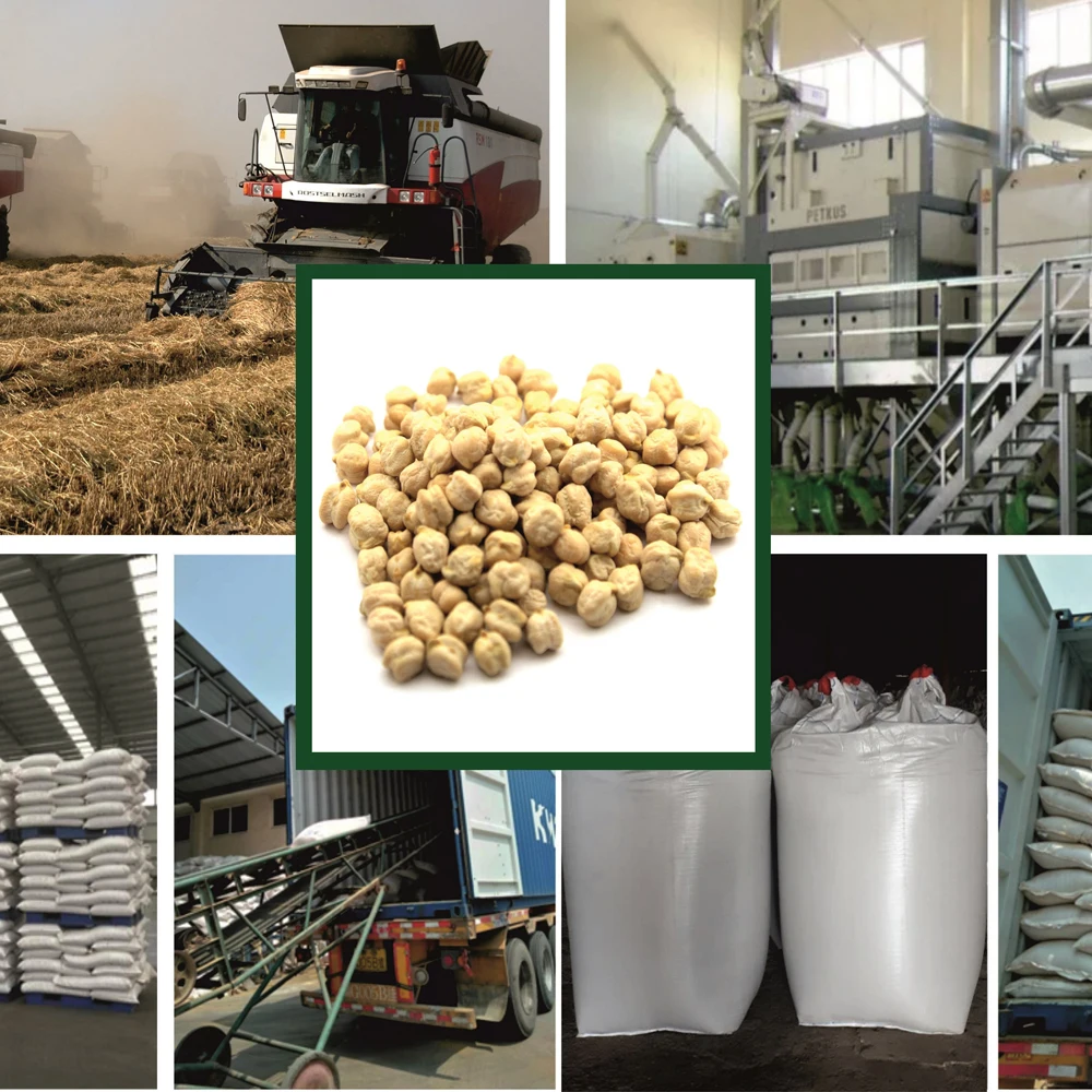 Organic dried kabuli chickpeas big bag, product of Russia