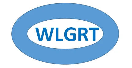  WLGRT 0280217003 Датчик массового расхода воздуха MAF для VAUXHALL / OPEL/ASTRA/гранитера