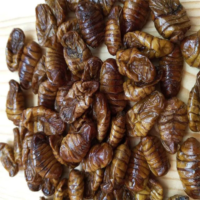 
High Protein wholesale feed grade silkworms for pets 