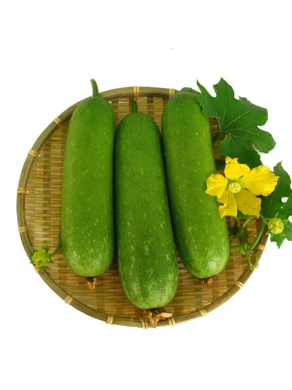 100% Natural With High Quality and Best Price FRESH WINTER MELON Hot deal 2023/Vietnam Winter Melon in Bulk
