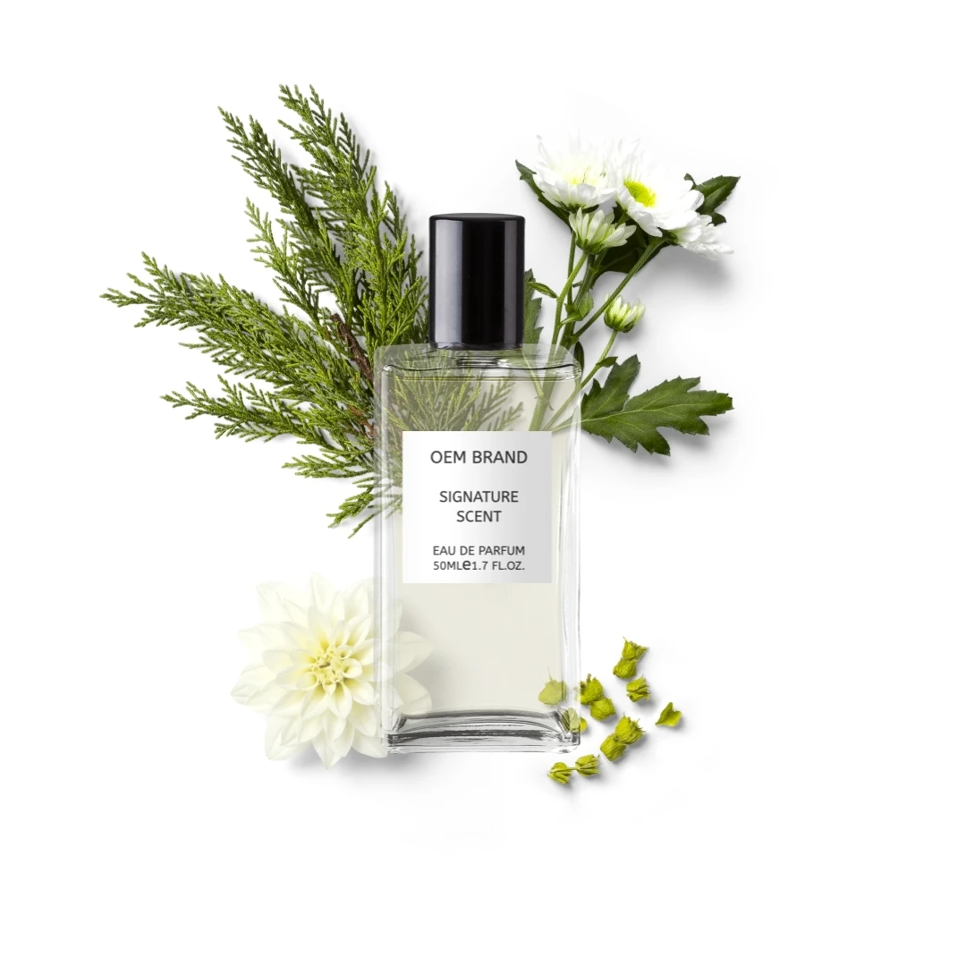 
OEM Modern Perfume for Men with Your Signature Scent Wholesale 50ML Perfume 
