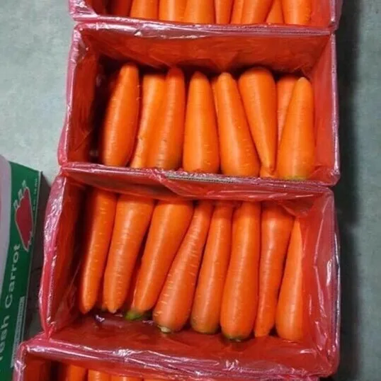 Натуральные овощи высокого качества Вьетнам-свежий натуральный вкус моркови