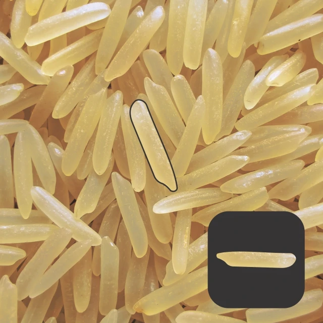 1509 Golden Sella Basmati Rice