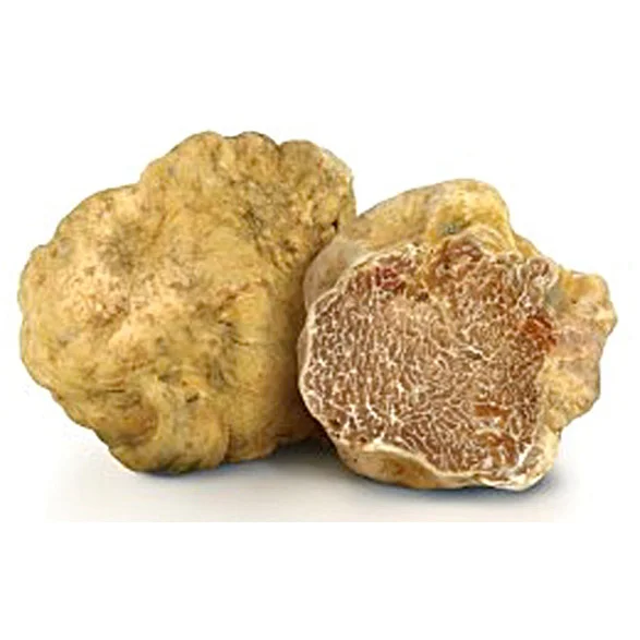 
Fresh Wild Black Italian Truffles 