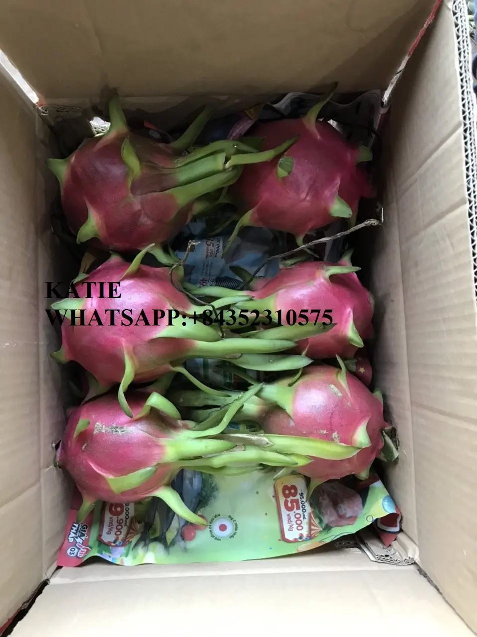 BEST PRICE OF WHITE / RED FRESH DRAGON FRUIT SUPPLIER / KATIE N +84352310575