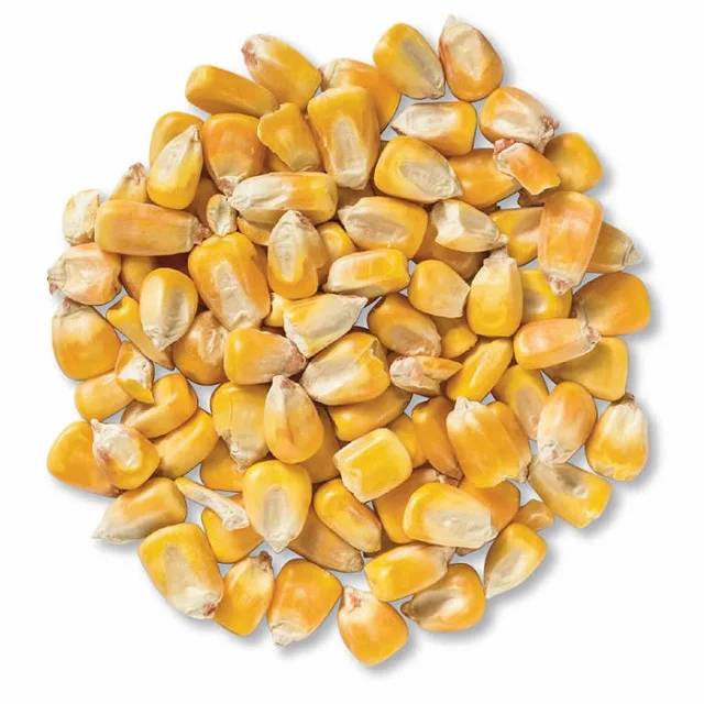 
Rich in high quality vitamins Pure natural Bags Organic Sweet Dry Baby Corn Yellow Maize Corn Grit 