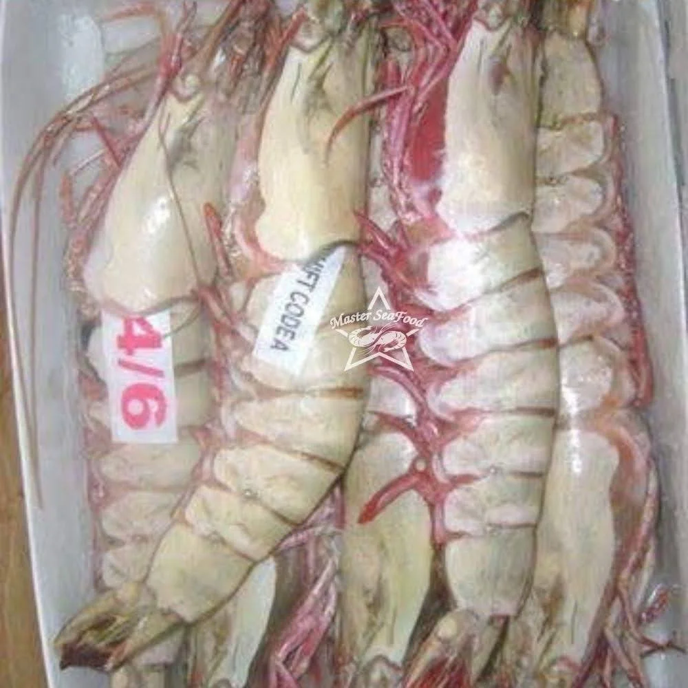 Ocean Tiger Shrimps Semi-IQF Head On Shell On Net Weight Net Count Custom Packing Best Quality Size U4 U5 U6 U8 U10 U12 U15 U20