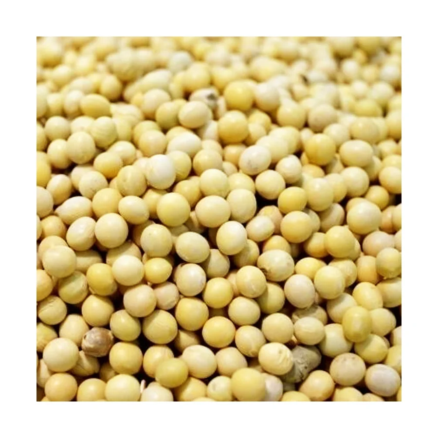 
Very Low Price Non GMO Soybean Seeds 
