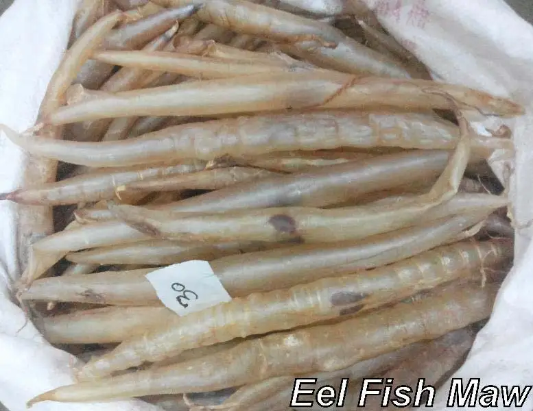 Wholesale Supplier Best Quality Eel Fish Maw For Sale In Cheap Price