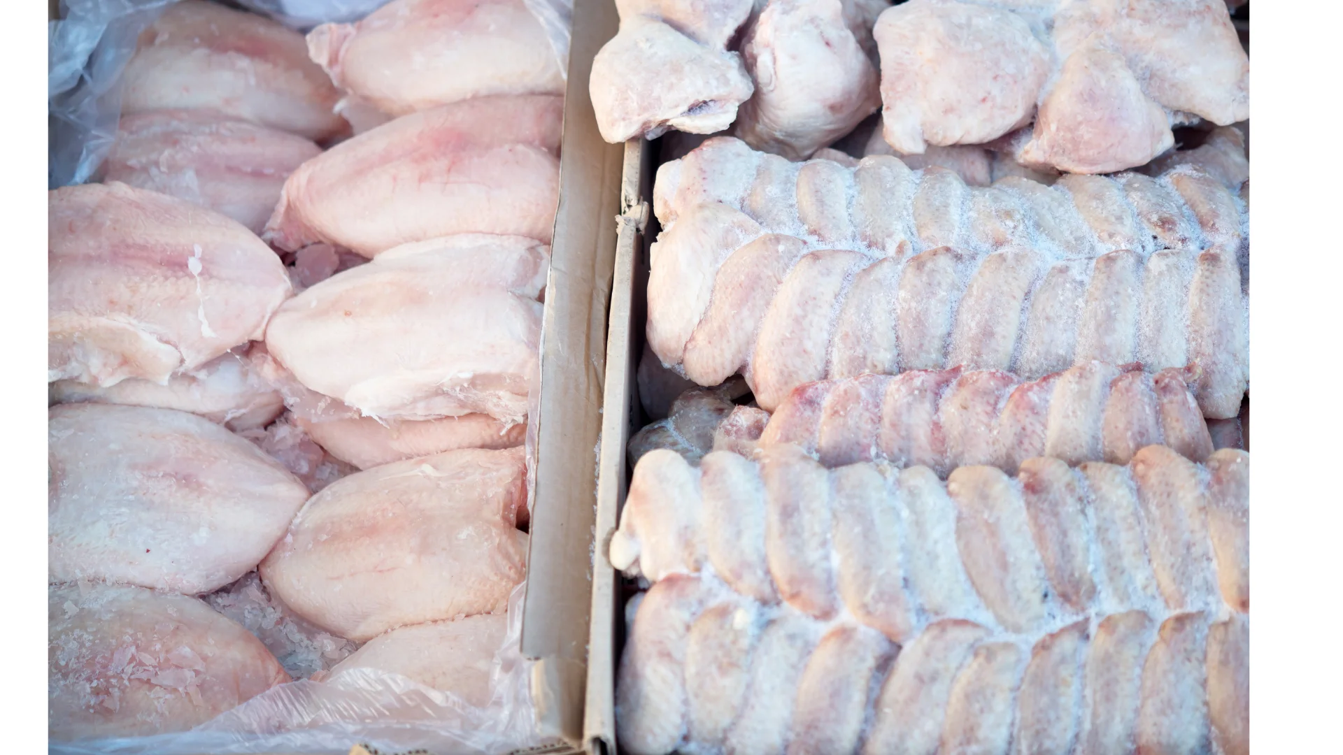 Halal Frozen Chicken Wings Premium Top Quality Grade A For Sale (Austria and US Origin)