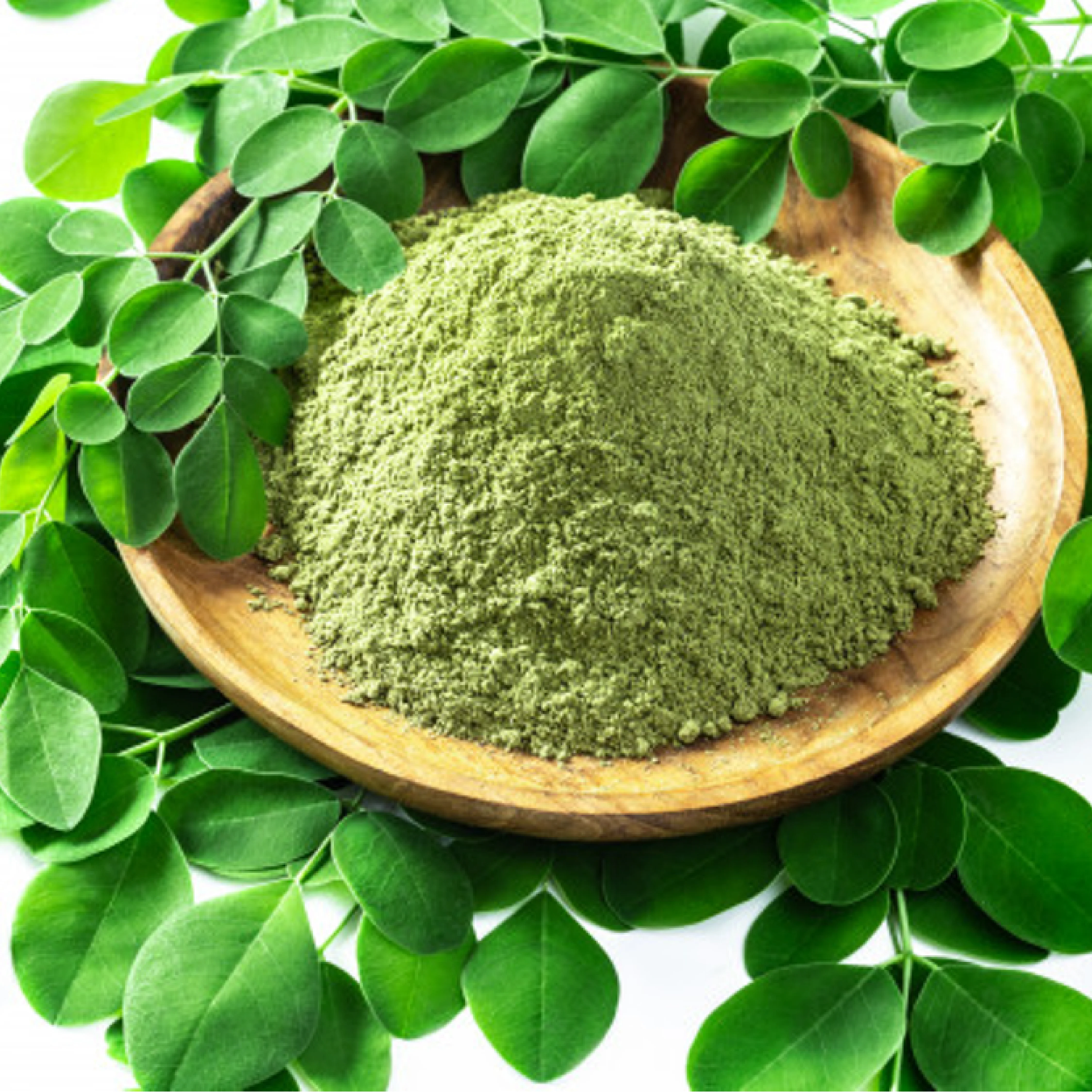 Organic Moringa Powder USDA & EU Organic Certified Premium Herbal Organic Moringa Leaf Powder Wholesale From Thailand