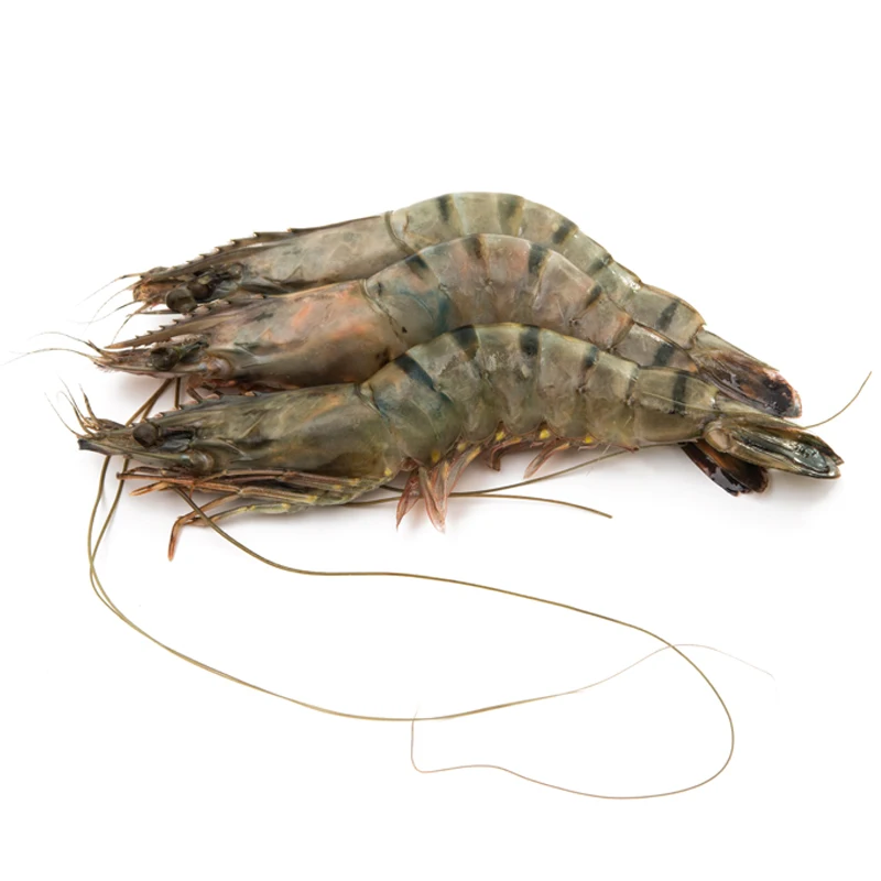 
FROZEN VANNAMEI SHRIMP WITH HIGH QUALITY & THE BEST PRICE 