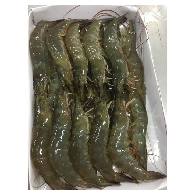 Best Quality Frozen Black Tiger Shrimp Natural Sea Caught Whole Part Export Standard
