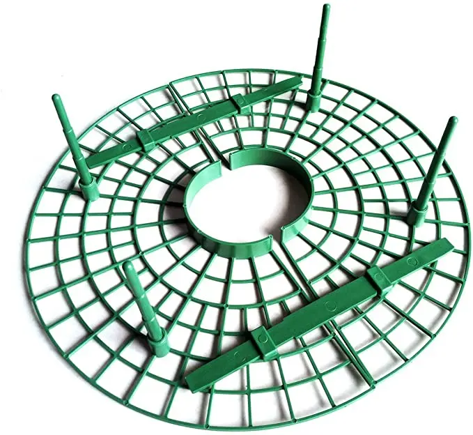 Strawberry Supports Keeping Fruit Elevated to Avoid Ground Rot With Tray