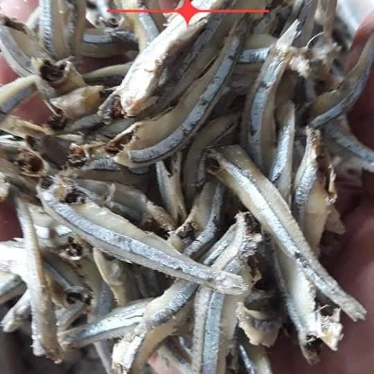 VIETNAMESE SUNDRIED ANCHOVY FISH FROM WITH GOOD PRICE//Sven + 84 966722357