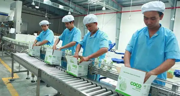  Кокосовая вода из Вьетнама-330 мл/1000 мл-DIRECT UHT Tetra Pak 100% натуральная частная марка Whatsapp +