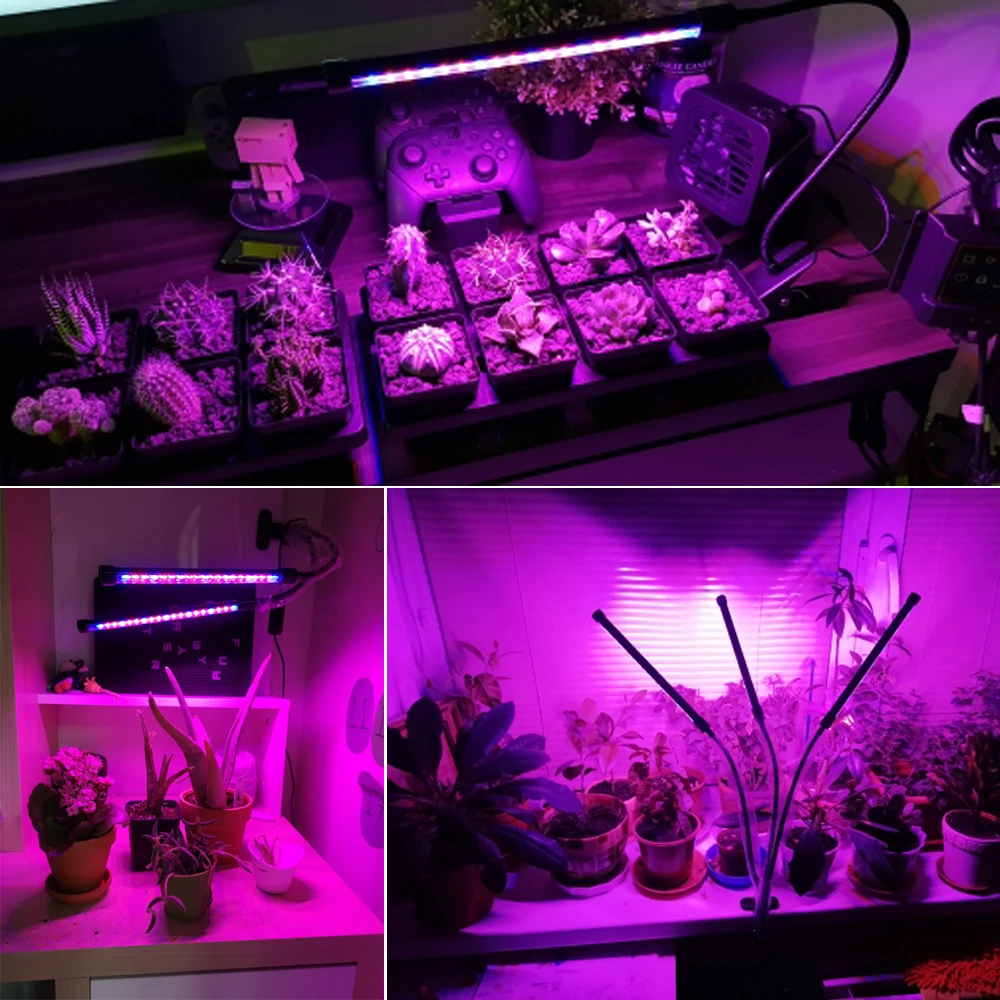 YLShine Red Blue Spectrum 1 2 3 4 Head Dimmable Clip Light Timer Phyto Lamp With Control Phytolamp For Plants Seedlings Flower