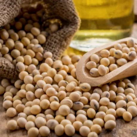  Экспорт высококачественных желтых соевых бобов новый урожай-Вьетнам